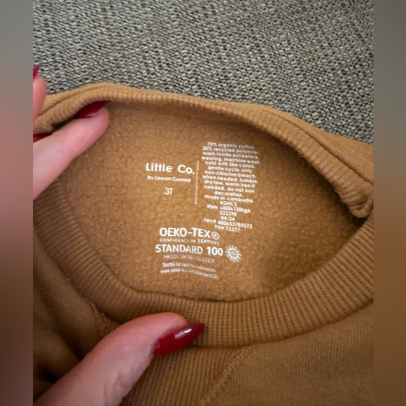 Little Co. Lauren Conrad “Pumpkin” Sweatshirt 3T - Picture 3 of 3